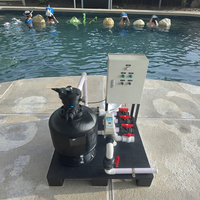 Système de filtration de piscine tout-en-un intégré en fibre de verre Pompe filtrante à sable ABS personnalisée Chlorinateur combiné pour piscines Spas