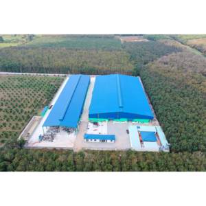 11 floz de jus pressé à froid banane - Product Image 1