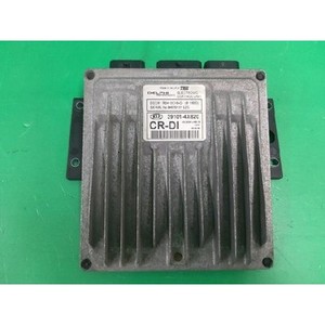 ECUs y Módulos de Computación Usados de Carnival 391014X820 - Product Image 1
