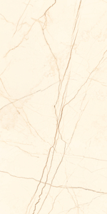 Vente directe d'usine : Carreaux de sol en granit 600 x 1200 mm super polis pour entrée. - Product Image 4