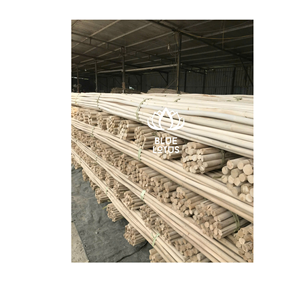 Bâtons de rotin naturel de haute qualité, très demandés, pour l'artisanat, le mobilier et le tressage de paniers - Product Image 1