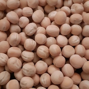 Guisantes Blancos Premium Ricos en Proteínas y Fibra Naturales para Ingredientes Alimenticios a Granel y Suministro de Exportación para Compradores de Alimentos en Todo el Mundo - Product Image 5