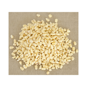 ข้าวโพดเหลืองและข้าวโพดขาว/ข้าวโพดเหลืองสำหรับอาหารสัตว์ - Product Image 5