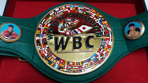 Ceinture de championnat en cuir de vachette de haute qualité, personnalisable OEM, avec boucle à double ardillon pour la boxe, le Jiu-Jitsu et le karaté - Logo couleur personnalisé - Product Image 6