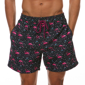 <b>Mens</b> Printed Swim Shorts Beach <b>Trunks</b> with Strings Funny Shorts with Mesh Lining Swimwear Bathing Suits Beachwear Dry Striped - Product Image 5
