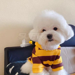 Disfraz para Mascotas Cómodo, Cálido, Moderno y Ecológico, de Forro Polar Suave, Lavable a Máquina, para Cachorros Pequeños, para Entrenamiento Deportivo - Product Image 6