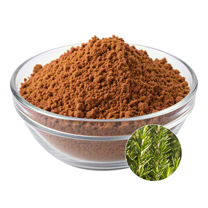 Polvo de Cola de Caballo de Calidad Premium OEM, Polvo de Equisetum arvense Secado Naturalmente para Uñas Fuertes y Cabello Saludable - Product Image 1