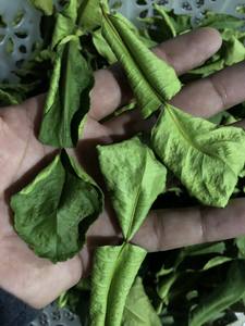 Hojas secas de Lima Kaffir de Tailandia 100% Natural Premium Dry - Product Image 2