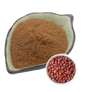 Poudre de graines de datte 100 % pure en vrac, de qualité alimentaire supérieure, pour les smoothies et le café - Product Image 3