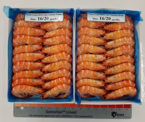 Crevettes Vannamei de la meilleure qualité, fraîches, congelées et cuites, en boîte dans une coquille avec processus IQF frontal - Product Image 3