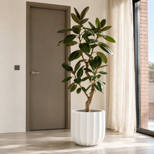 Juego de 4 macetas cilíndricas de fibra de vidrio clásicas blancas, resistentes a las heladas, lisas, para jardín interior y exterior, decorativas y atemporales. - Product Image 2