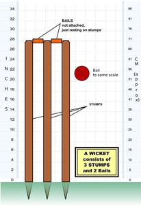 Cricket Wickets Set Heavy Duty Wooden Stumps And Bails For Club Level Practice And International Matches - Product Image 4