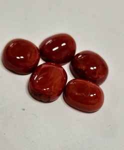 Coral Rojo Natural Italiano, Forma Ovalada Plana, Gema de Alta Calidad, Gema Suelta para Joyería - Product Image 2
