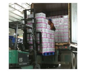 Proveedor de Fruta del Dragón Seca Premium de Vietnam - Fruta del Dragón Seca Natural y Suave para Distribución Minorista de Snacks - Product Image 6