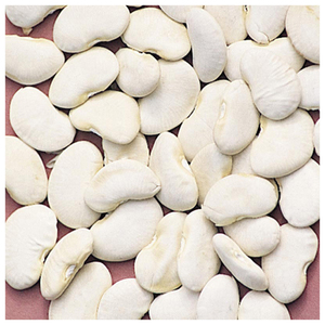 Wholesale Dried Lima <b>Beans</b> - Product Image 2