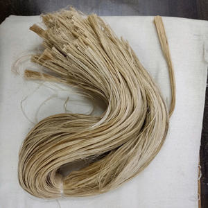 TOP SELLING Made in Vietnam High Quality Dried <b>Light</b> Yellow Natural <b>Pineapple</b> Leaf Fiber 70–120cm Length In Bulk Supply - Product Image 6