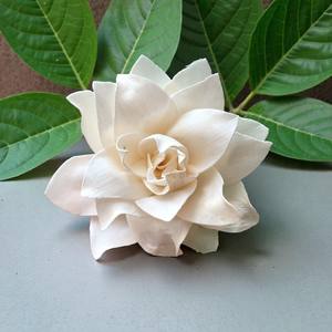 Flores de Madera de Sola (Lotus) de 8-8.5 CM, Varilla de Fibra Vegetal de Sesbania, Aromaterapia Hecha a Mano - Product Image 4