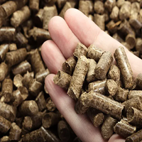 Livraison Express Granulés de Bois Premium Originaux Certifiés A1 99% de Cendres Sacs de 15kg Forme Bâton Densité 690 Origine France