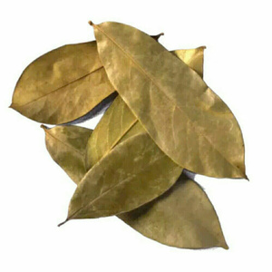 Feuilles de corossol séchées biologiques pour le thé Approvisionnement en gros à partir de produits agricoles Thé au corossol Graviola à vendre - Product Image 2