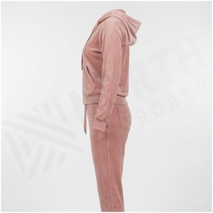 Women <b>Pink</b> Velvet Hooded <b>Tracksuit</b> Set Full Zipper Sweatshirt & Joggers Casual Autumn Wear Solid Color Long Sleeve Pants - Product Image 3