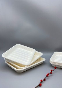 Plateau Rond Biodégradable Écologique en Fibres Végétales (Bagasse) pour Viande – Idéal pour Fêtes et Mariages – Taille, Couleur et Logo Personnalisables - Product Image 1