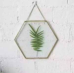 Minimalist Metal Glass Photo <b>Frame</b> Wall Display <b>Picture</b> <b>Frame</b> Modern Home Decoration - Product Image 6