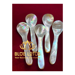 Export Grade Natural Seashell Caviar Spoon | Non-Reactive Mother of Pearl Tasting Spoon Wholesale - Product Image 1