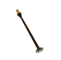 Practice Beginner Brushed Rosewood Bagpipe Chanter BB Key Polished Finish Red with Synthetic Drone Reeds and Tutor Book