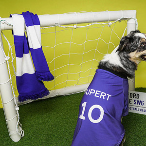 Maillot de sport personnalisé pour chien, en maille, imprimé animal, robes portables avec nom et numéro pour animaux de compagnie - Product Image 2