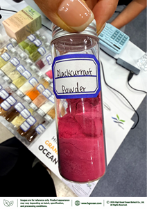 Approvisionnement direct usine HGO de poudre de cassis pure naturelle (qualité alimentaire) – Poudre de fruits séchée par atomisation ou lyophilisée - Product Image 2