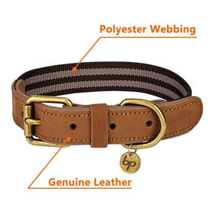 Collier pour chien personnalisé de luxe en cuir véritable, séchage rapide, étiquette privée, taille sur mesure, respirant et confortable - Product Image 2