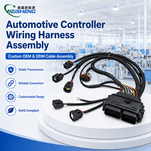 Rangkaian Kabel Listrik Otomatis Khusus untuk Integrasi Modul Pengontrol Bodi - Product Image 1