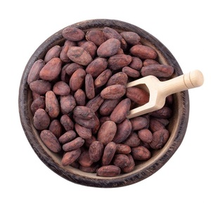 Fèves de cacao de la meilleure qualité pour la fabrication de chocolat et de poudre de cacao, avec saveur naturelle pour une transformation alimentaire de qualité. - Product Image 3
