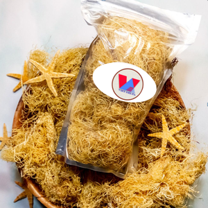 IRISH MOSS SEA MOSS FACTORY VENTE EN GROS 100% PRODUIT NATUREL ÉCOLOGIQUE PRODUITS PREMIUM DU VIET NAM MS MARY - Product Image 1