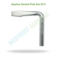 Kit de curettes dentaires équin en acier inoxydable, taille standard, instrument vétérinaire, conception à manche long réglable pour l'hygiène buccale des chevaux