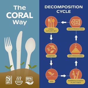 Ivory White 100% Compostable Spoons Heavy Duty 120 No <b>Plastic</b> Spoons 6.5 Inch Disposable Cutlery Smooth <b>Edges</b> Break Resistant - Product Image 3