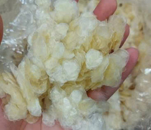 เกล็ดปลาแห้งธรรมชาติ โปรตีนสูง สำหรับขายส่ง โซลูชั่นการจัดจำหน่ายปลาระดับโลกสำหรับตลาดค้าปลีก มีบริการค้นหาคู่ค้าทางการค้า - Product Image 2
