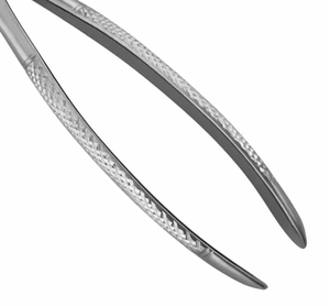 คีมถอนฟันคุณภาพสูง ผลิตจากเหล็กเยอรมัน คุณภาพเยี่ยม สำหรับขาย - Product Image 3