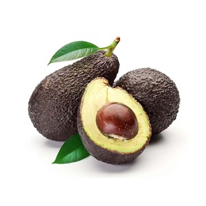 Avocats frais pour l'exportation mondiale - Avocats frais au meilleur prix pour les grossistes - Product Image 1