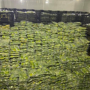 Aguacate en cubos congelado IQF de Vietnam para una preparación rápida y la elaboración de deliciosos tacos mexicanos por 99 Gold Data - Product Image 4