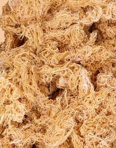 Mousse de mer d'Irlande Eucheuma Cottonii de haute qualité du Vietnam avec emballage OEM disponible - Product Image 1