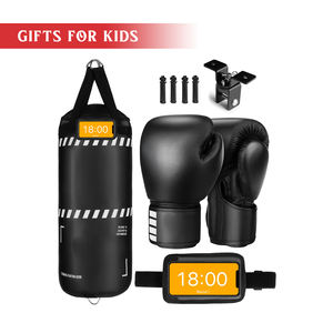 Kit de boxe pour enfants, gants d'entraînement et sac de frappe pour débutants - Product Image 1