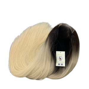 Haute qualité Ombre blonde cheveux humains vietnamiens sans colle 5x5 HD fermeture à lacet cheveux vietnamiens bruts perruque droite naturelle - Product Image 1