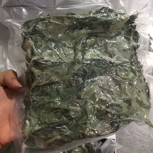 MÁS VENDIDO: Gelatina de Hierba Verde Ecológica, 100% Natural, Sin Azúcar, 24 Meses de Duración, Suplemento para la Salud - Product Image 2