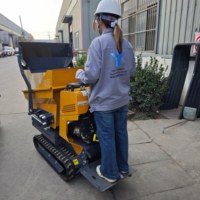 Mini-dumper chenillé 500 kg, petit camion benne léger, neuf, à vendre