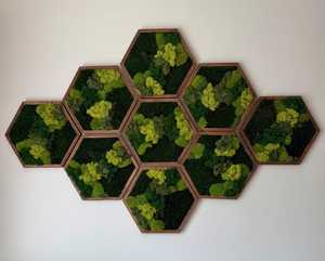 Arte de Pared Hexagonal de Madera Hecho a Mano con Musgo, Marco Marrón Oscuro, Follaje Verde, Decoración Moderna para el Hogar, Diseño Geométrico - Product Image 4