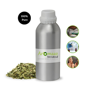 Aceite Esencial de Buchu 100% Puro, Destilado al Vapor, Ecológico, Suplemento Herbal Líquido, Hojas Secas, Venta al Por Mayor Competitiva - Product Image 4