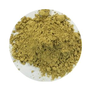 STANDARD QUALITY CALAMANSI POWDER - KUMQUAT POWDER WITH GOOD PRICE FROM VIETNAMESE SUPPLIER in 2024 - Product Image 4