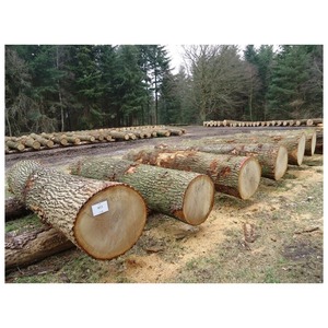 Premium Oak Timber for Furniture Production Interior Design Projects and High End Woodworking Applications - Product Image 3