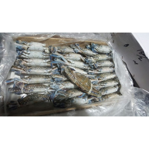 Cangrejo Azul Congelado de Primera Calidad, Venta al Por Mayor, Suministro a Granel, Listo para Enviar, Grado Alimenticio, Exportación Global - Product Image 4